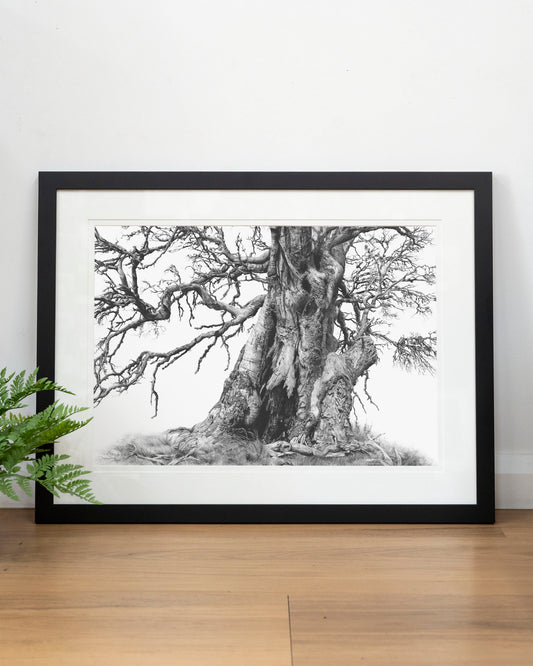 'Tree Elder 1' art print