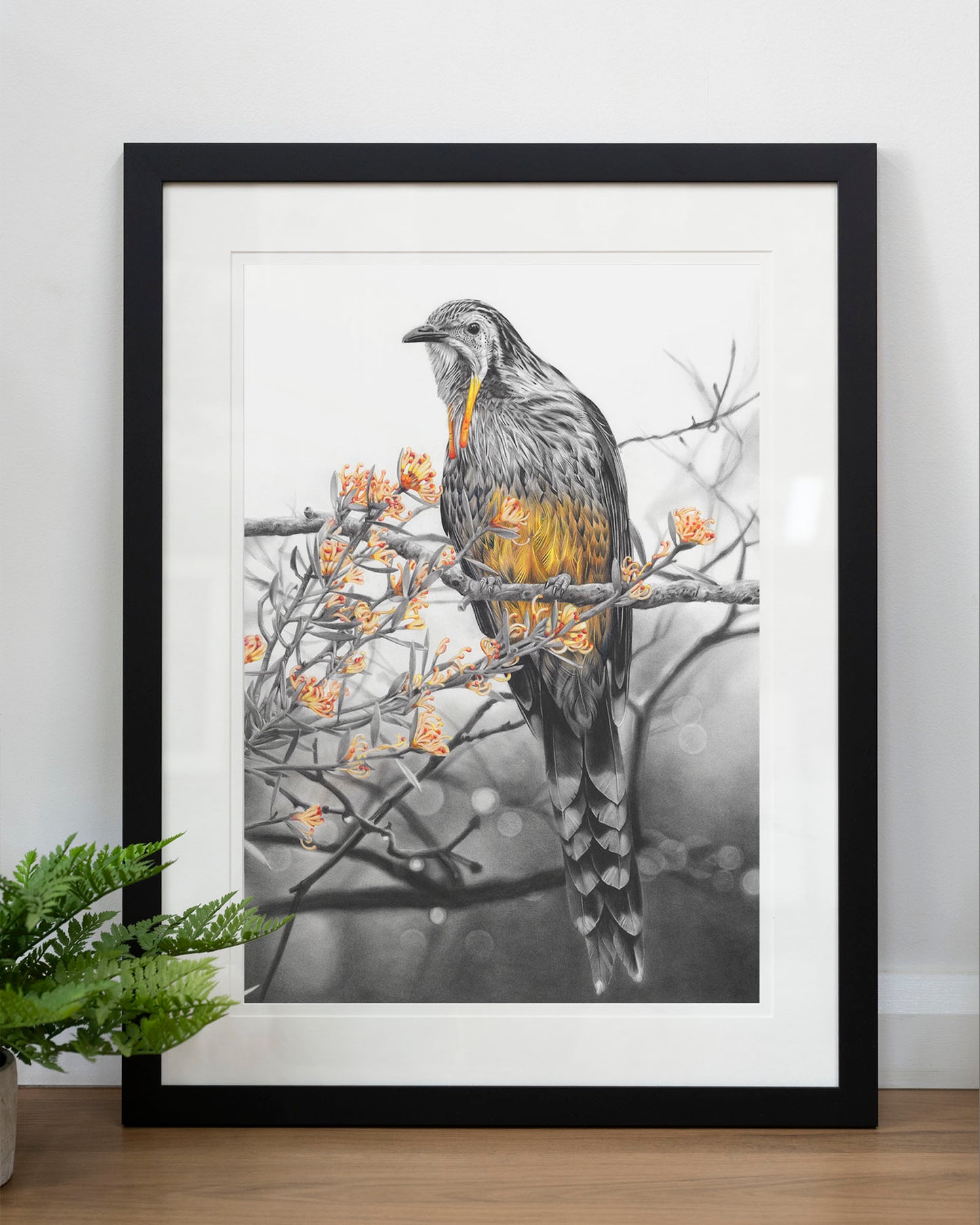 'Yellow Wattlebird' art print