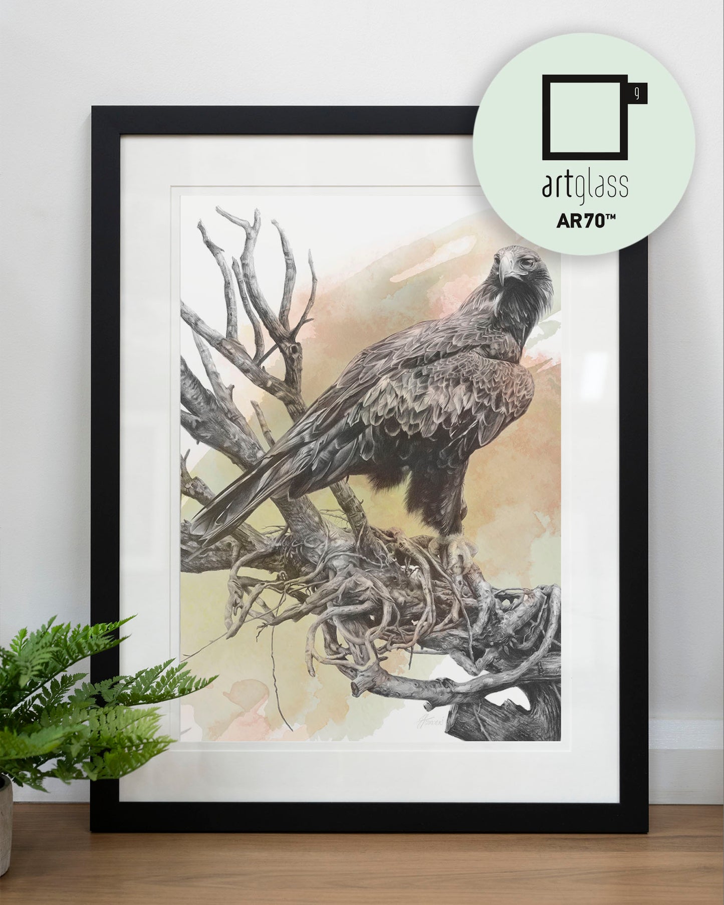 'Wedge-tailed Eagle Colour' art print