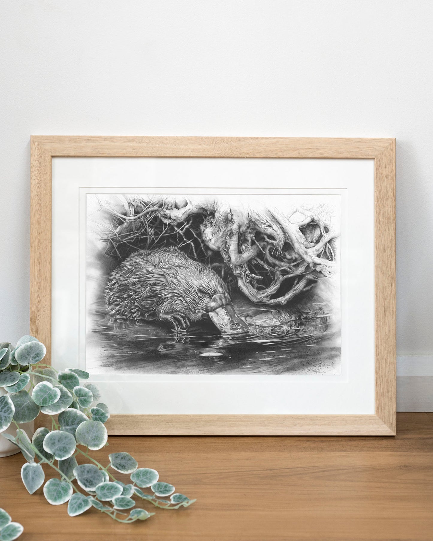 'Platypus' art print