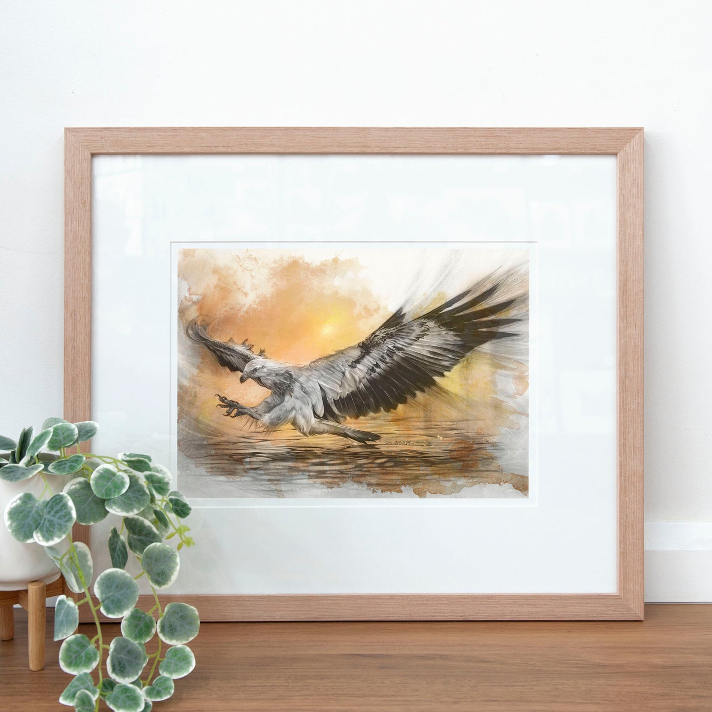 'White-bellied Sea Eagle Sunset' art print
