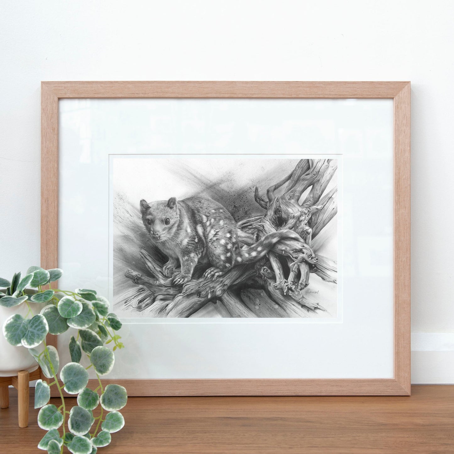 'Spotted Quoll' art print