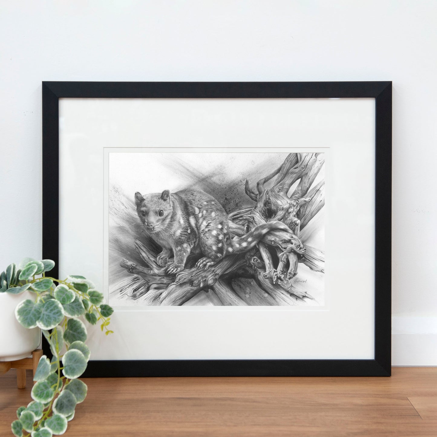 'Spotted Quoll' art print