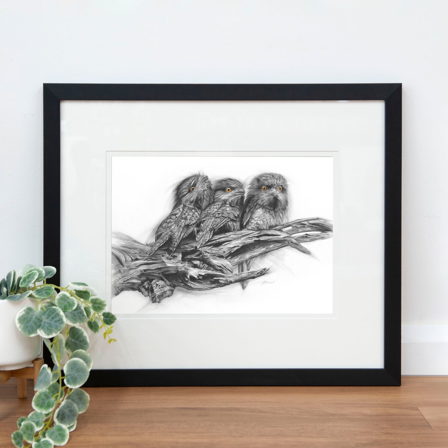 'Tawny Frogmouth Trio' art print