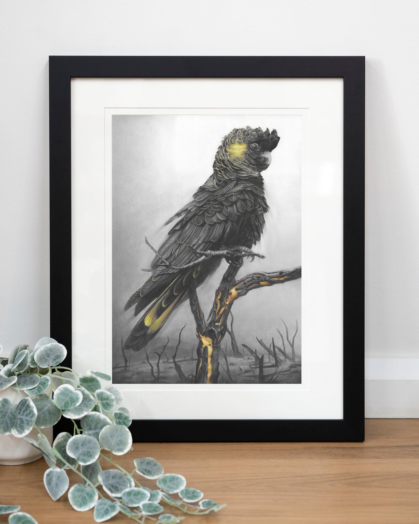 'Black Cockatoo' art print