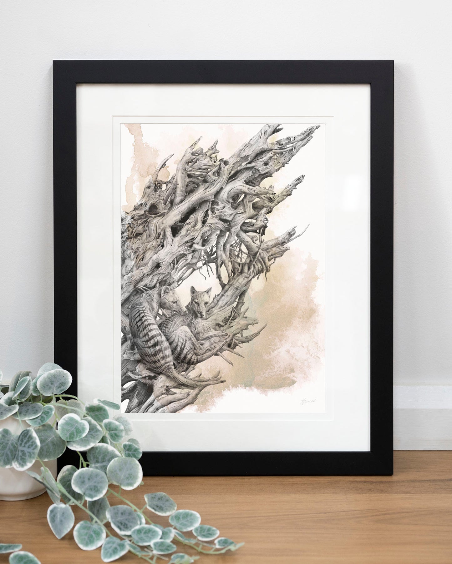 'Driftwood Thylacine' art print (with colour)