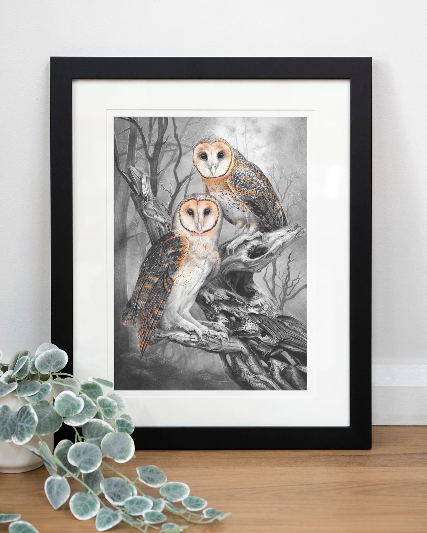 'Tasmanian Masked Owls' art print