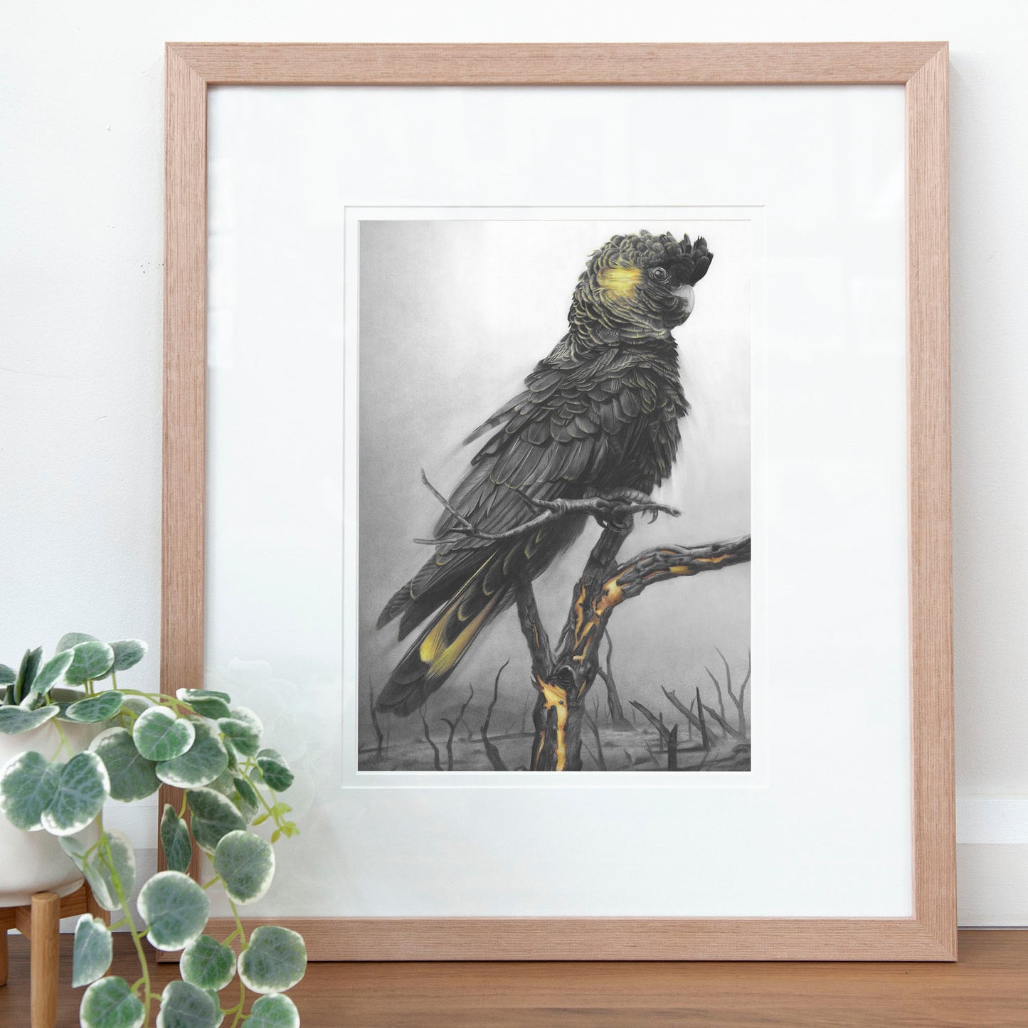 'Black Cockatoo' art print