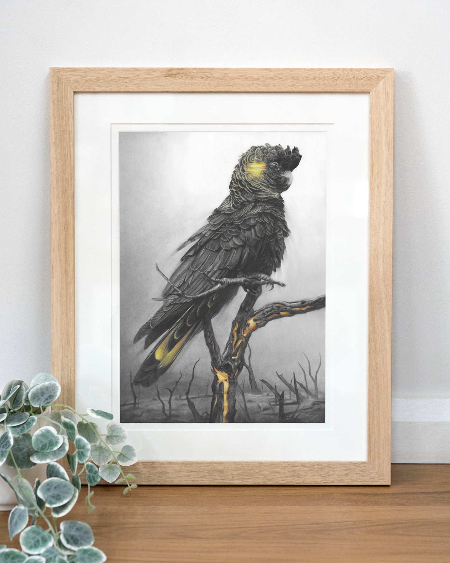 'Black Cockatoo' art print