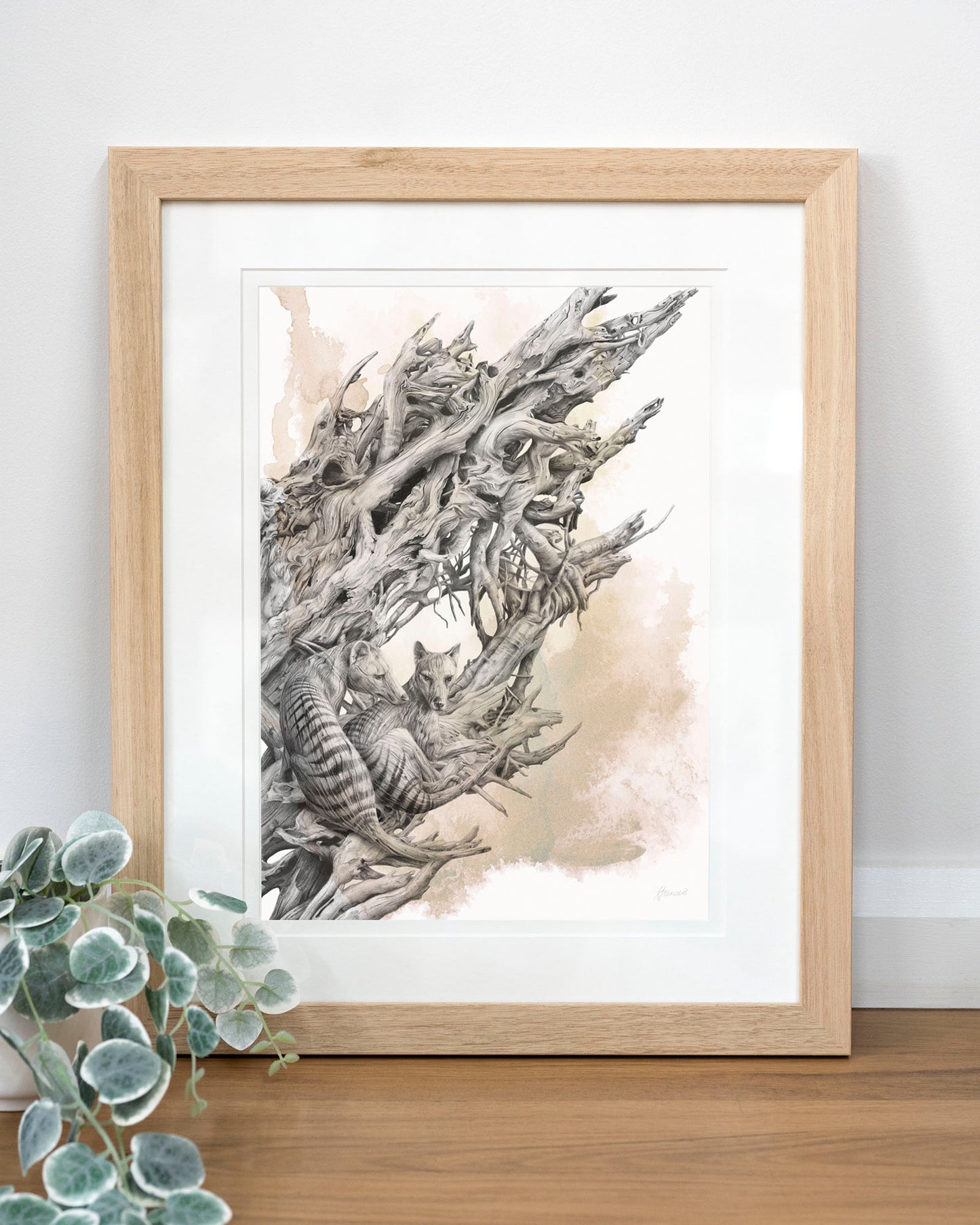 'Driftwood Thylacine' art print (with colour)