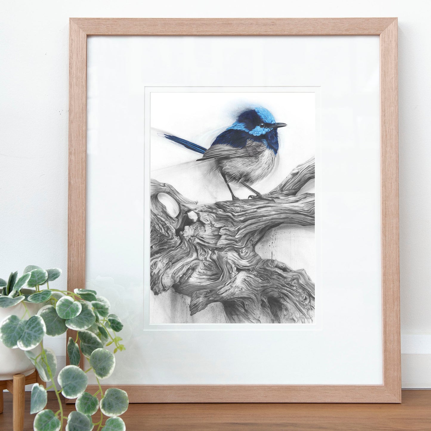 'Fairy Wren' art print