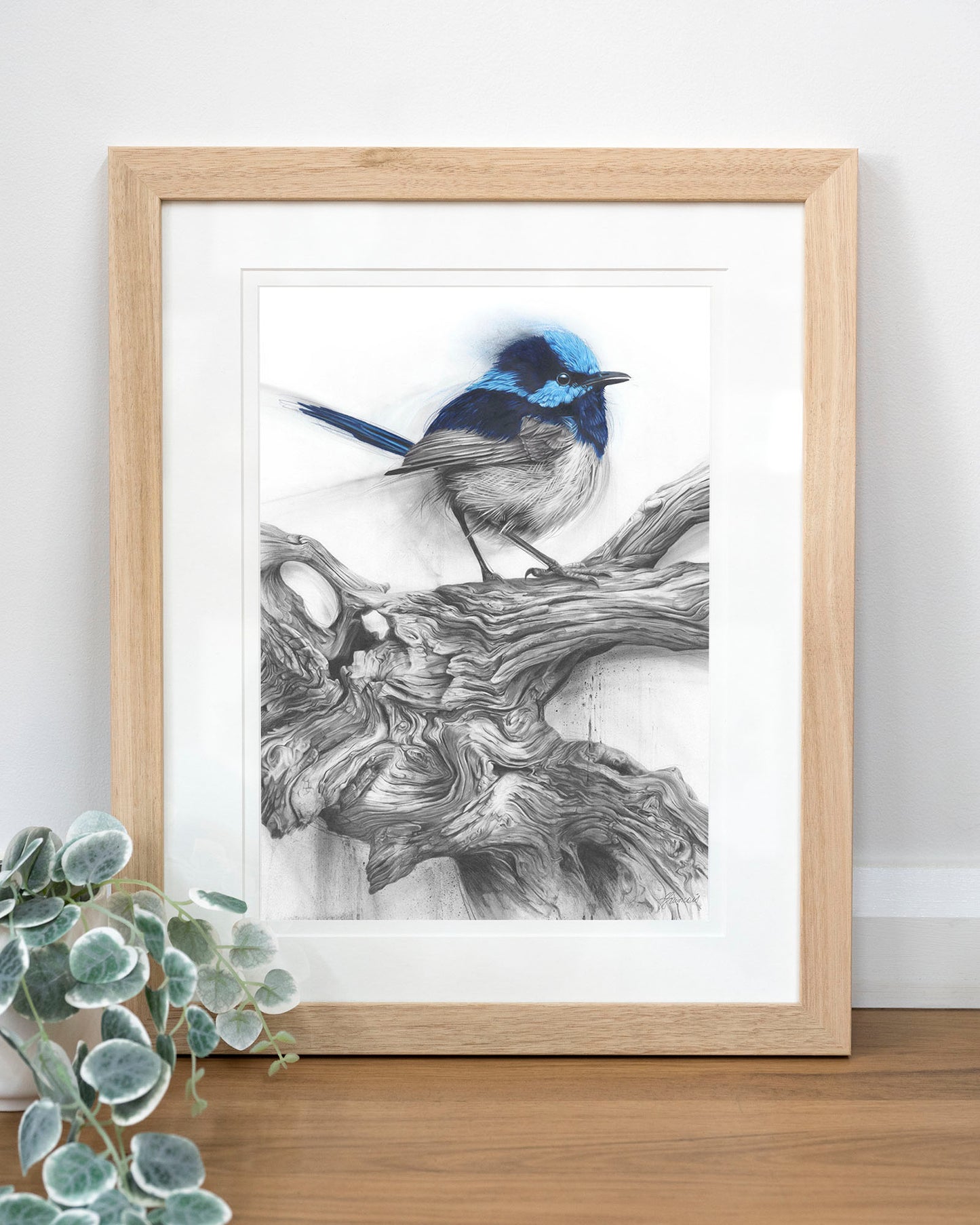 'Fairy Wren' art print