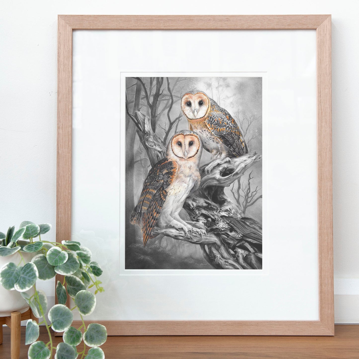 'Tasmanian Masked Owls' art print