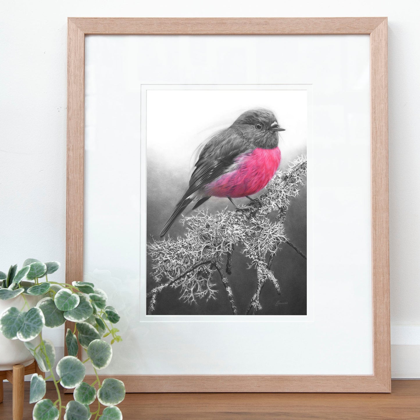 'Pink Robin' art print