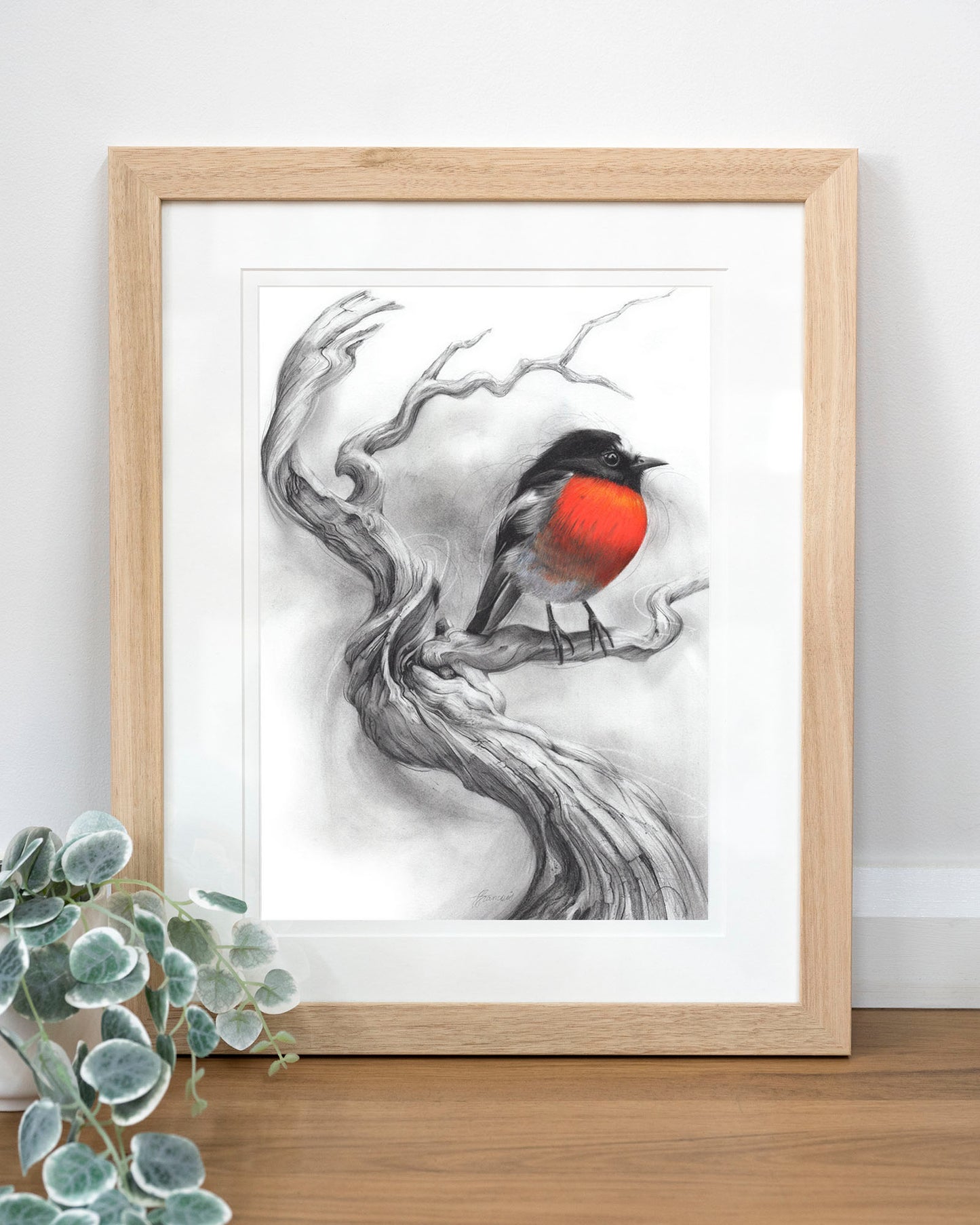 'Scarlet Robin' art print