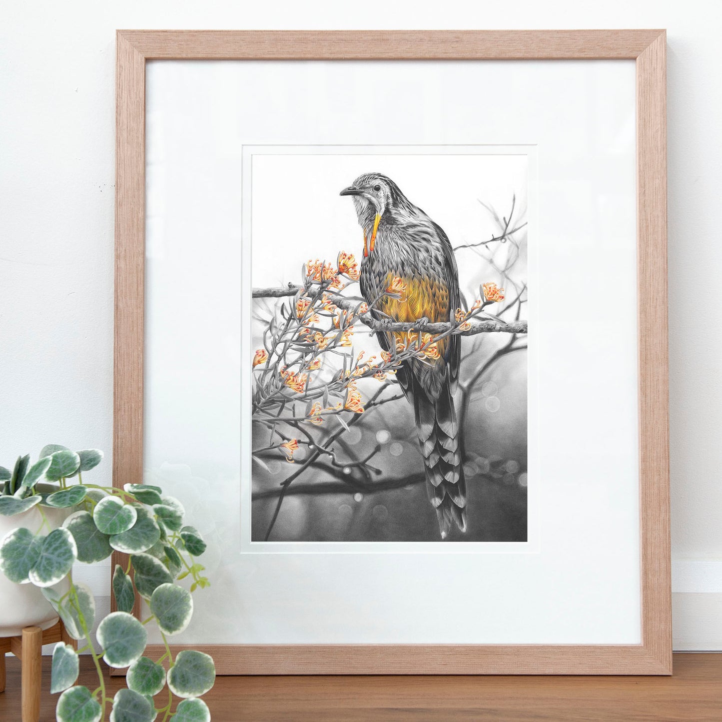 'Yellow Wattlebird' art print