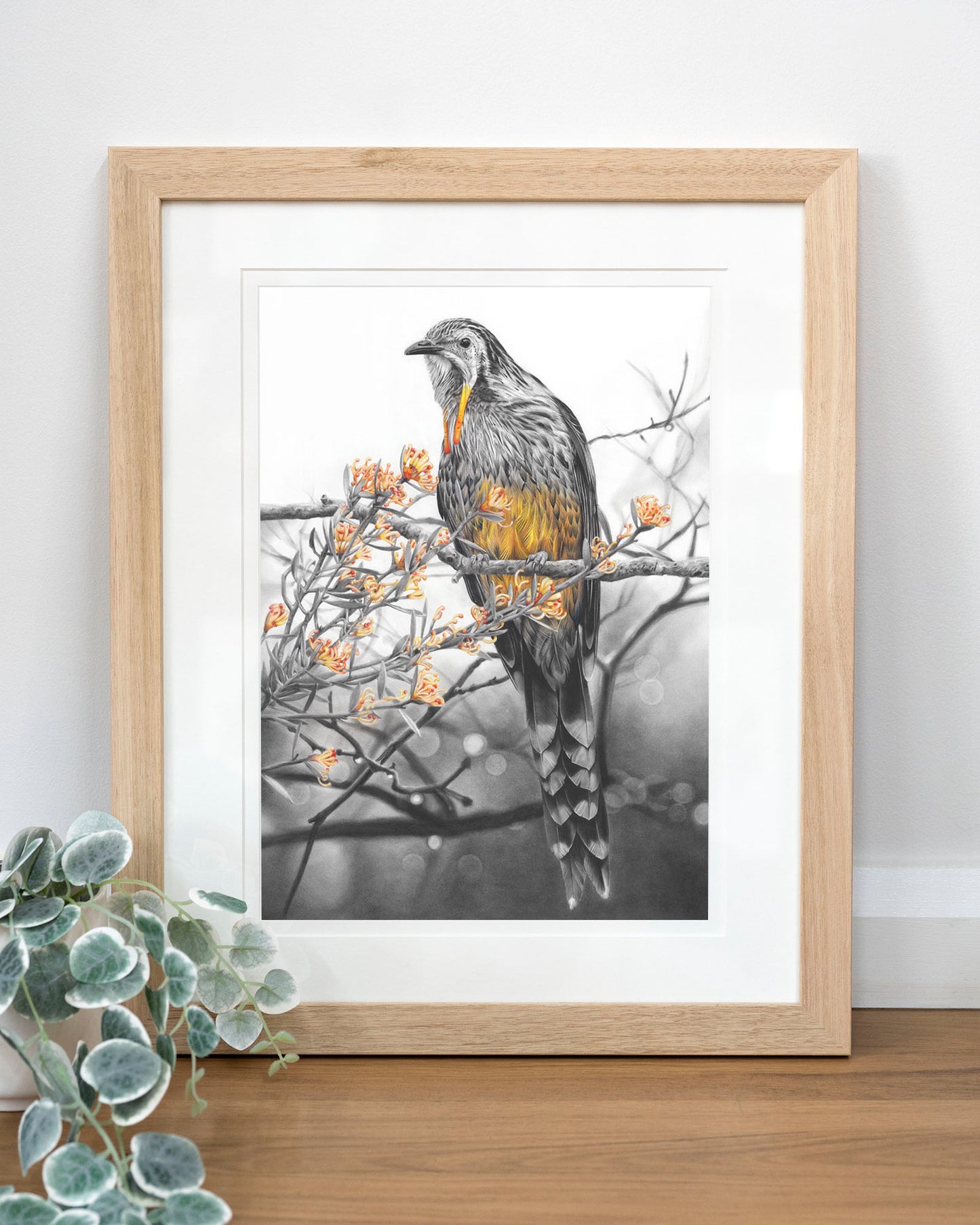 'Yellow Wattlebird' art print