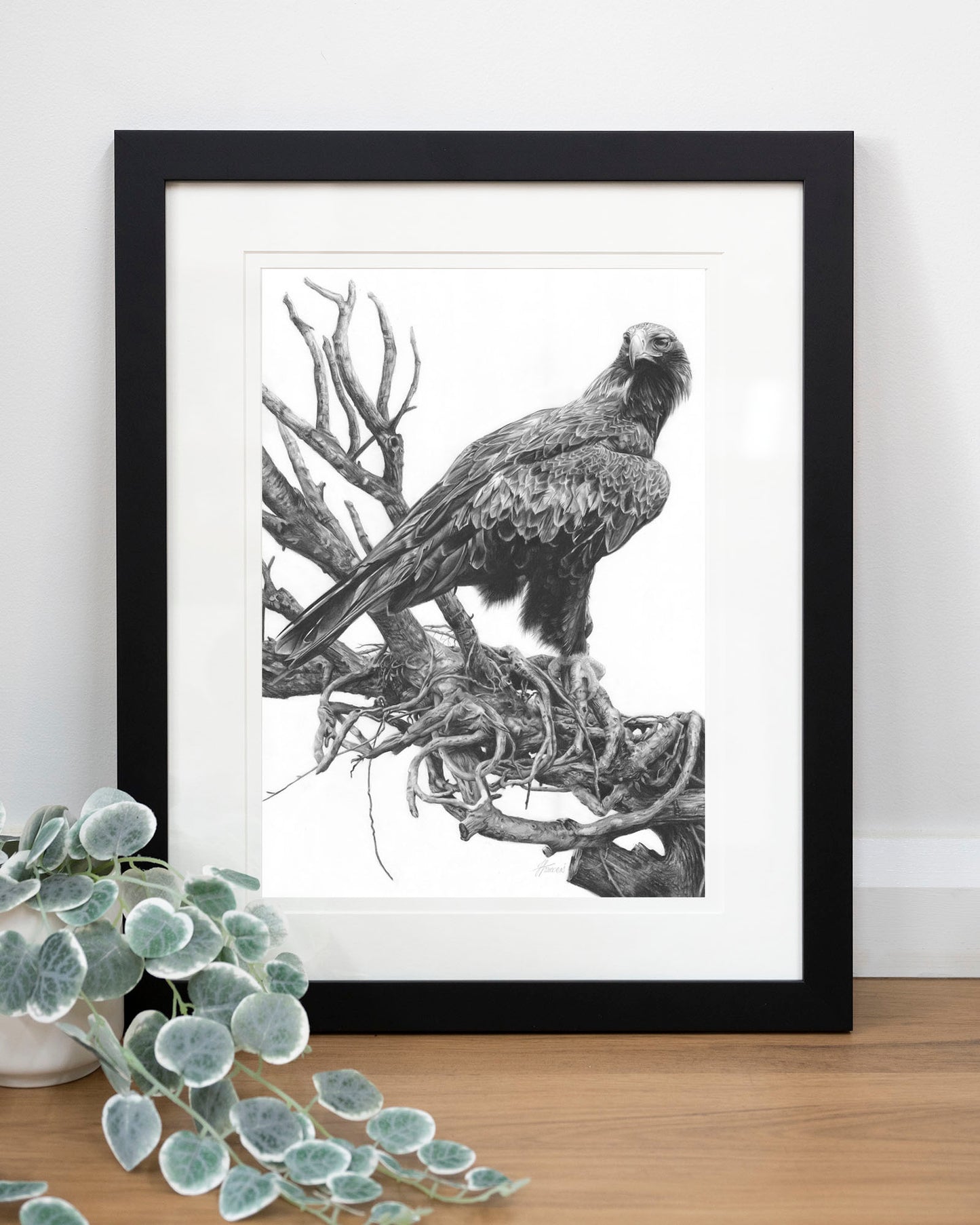 'Wedge-tailed Eagle' art print