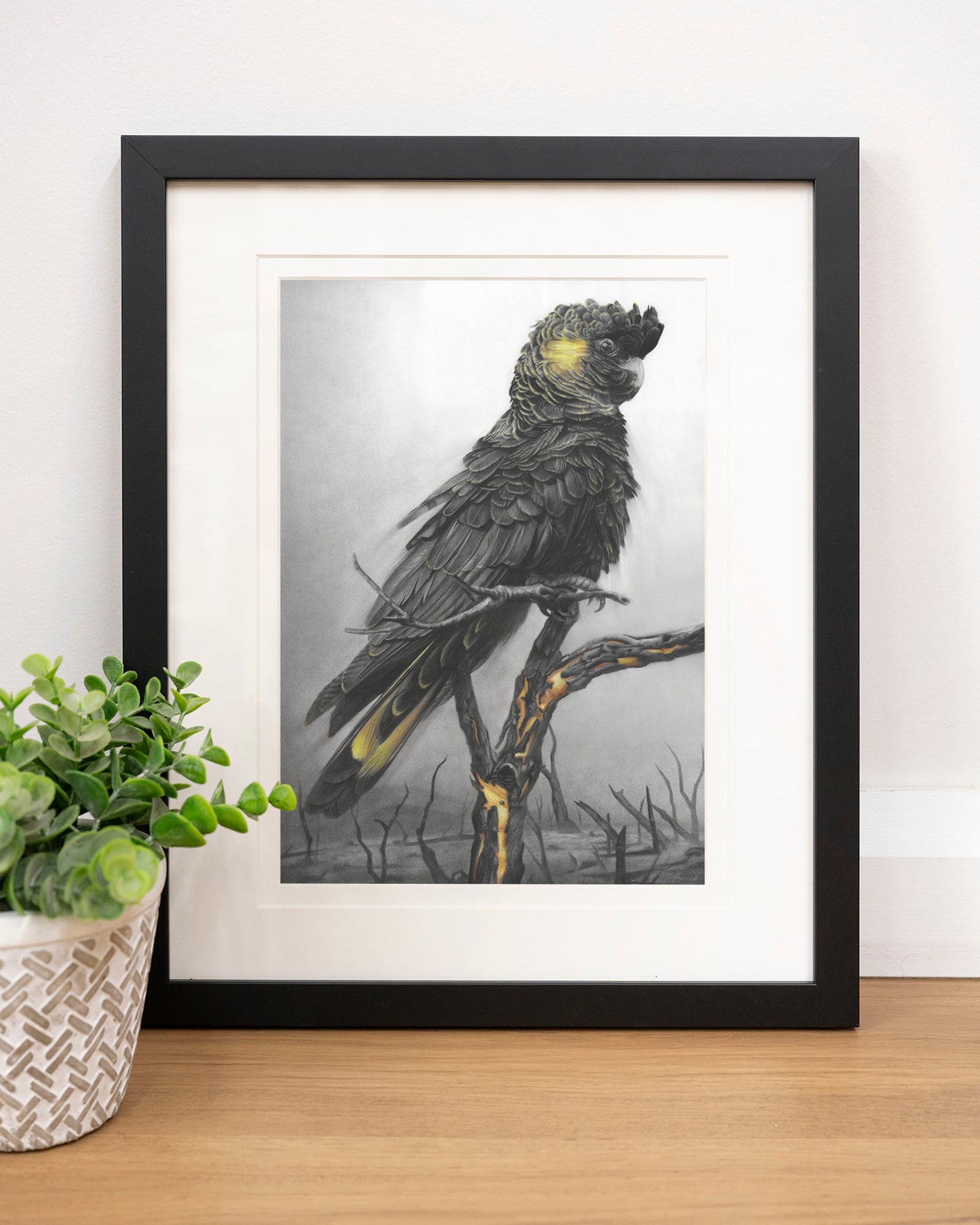 'Black Cockatoo' art print