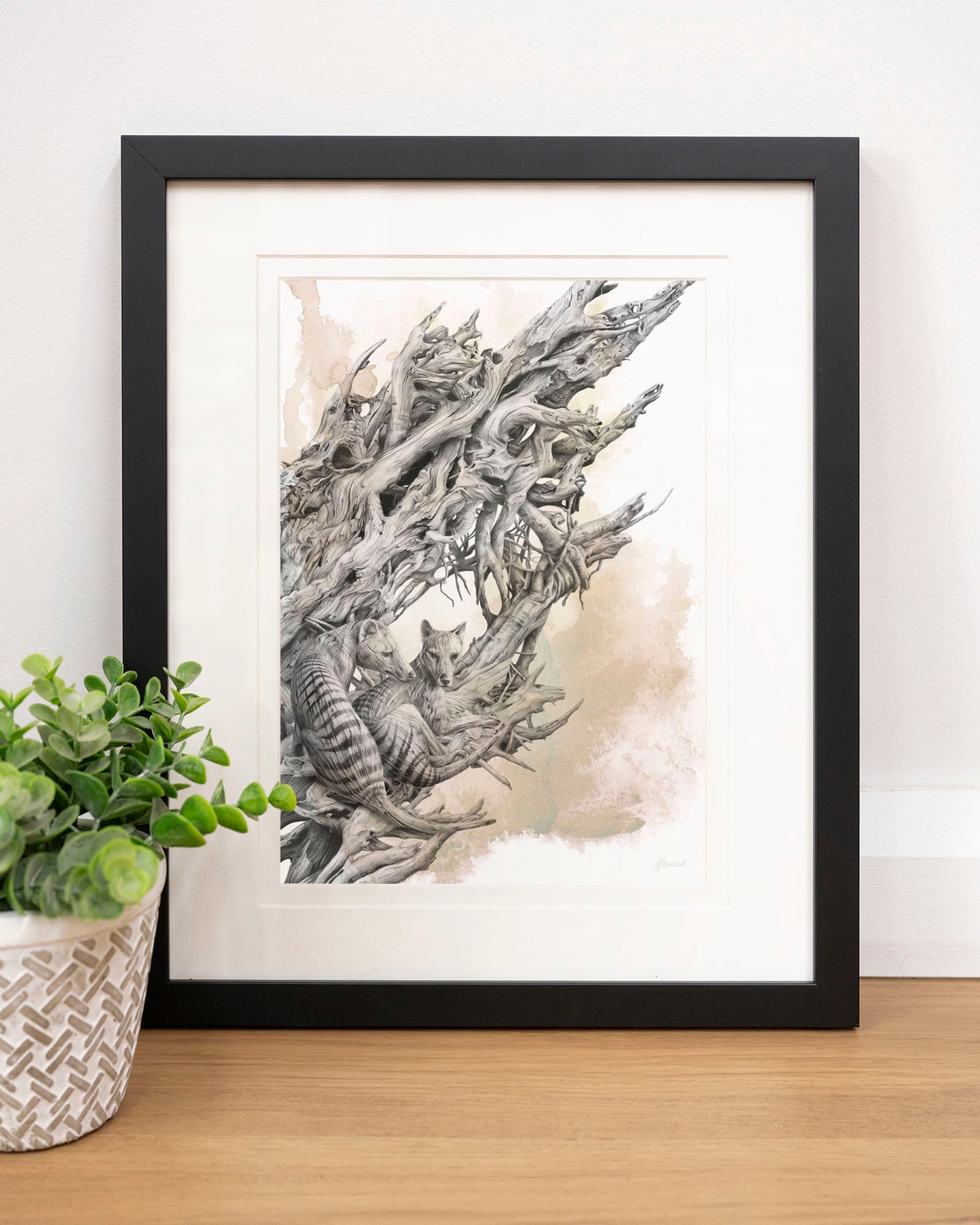 'Driftwood Thylacine' art print (with colour)
