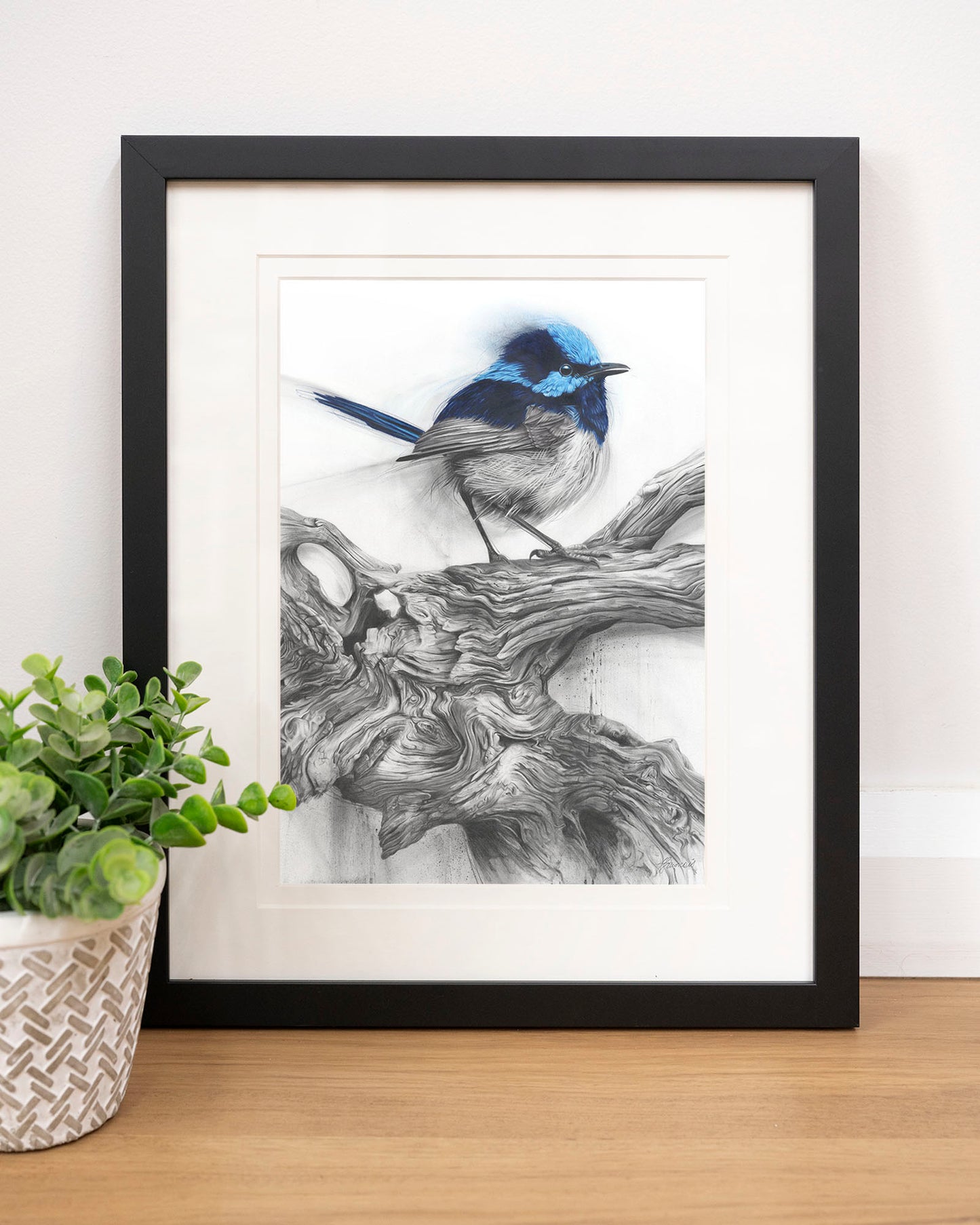 'Fairy Wren' art print
