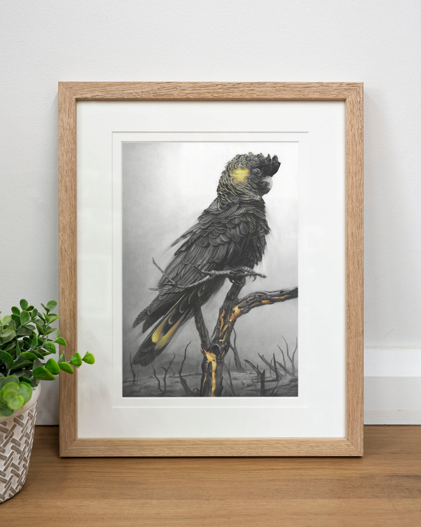 'Black Cockatoo' art print
