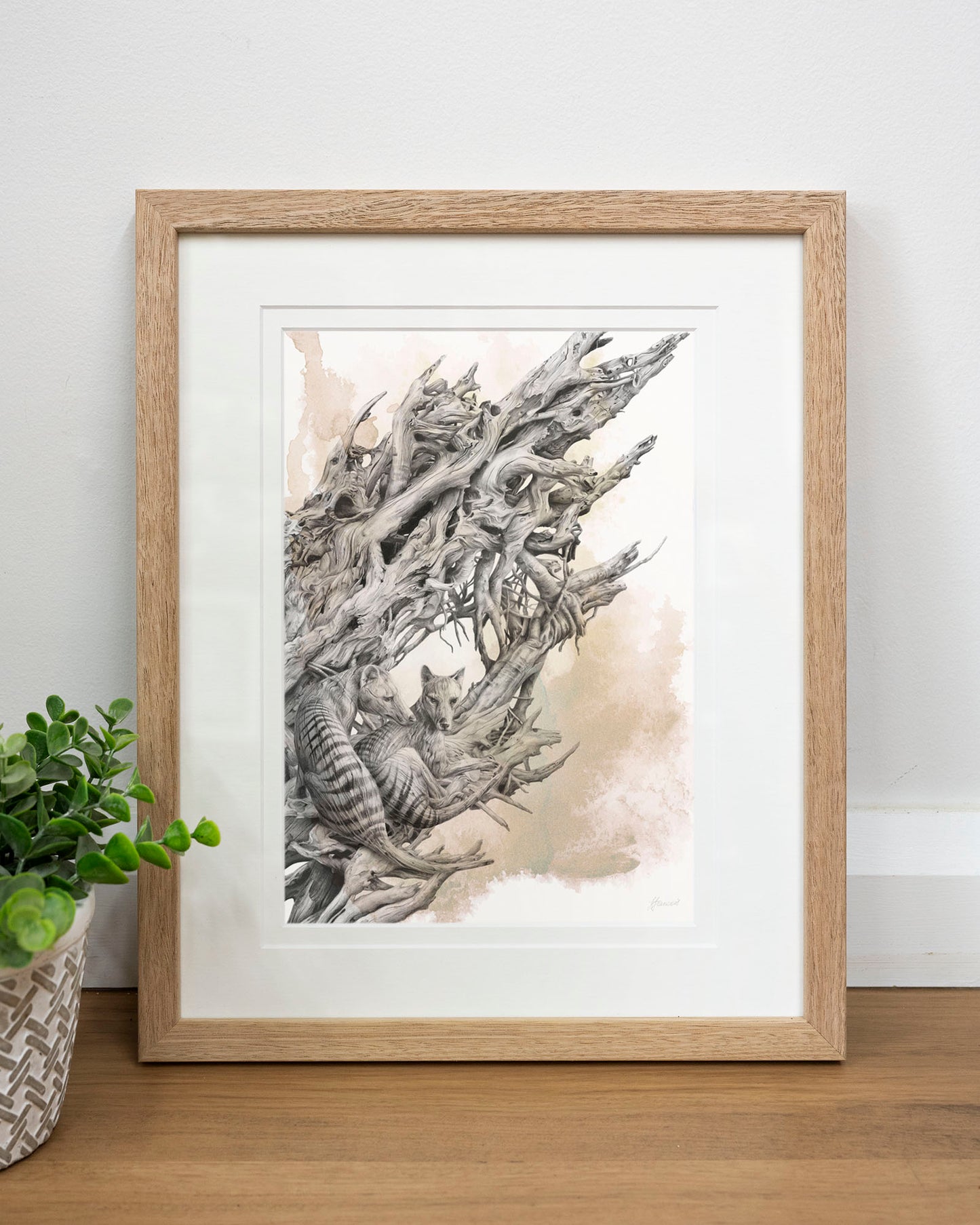 'Driftwood Thylacine' art print (with colour)
