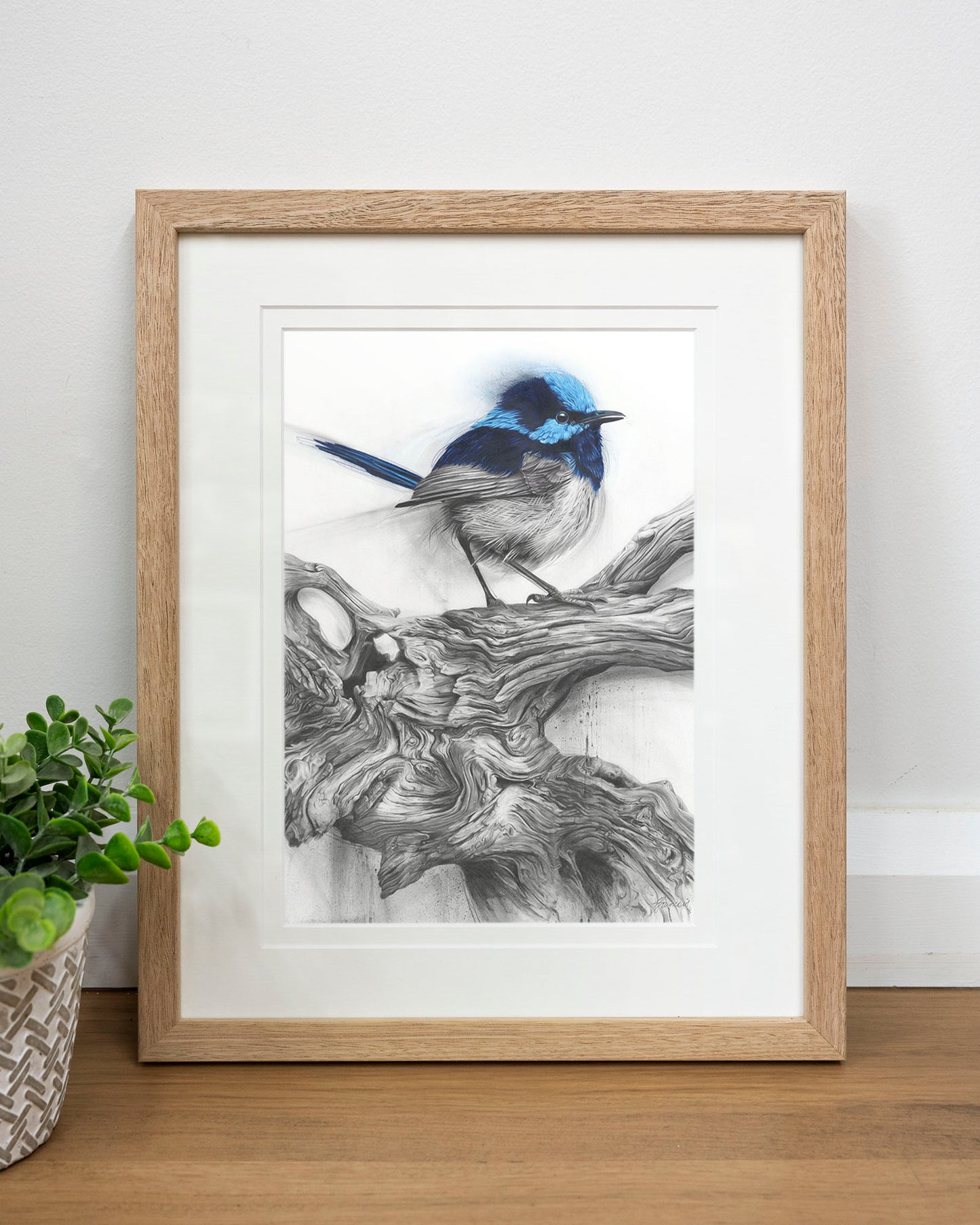 'Fairy Wren' art print