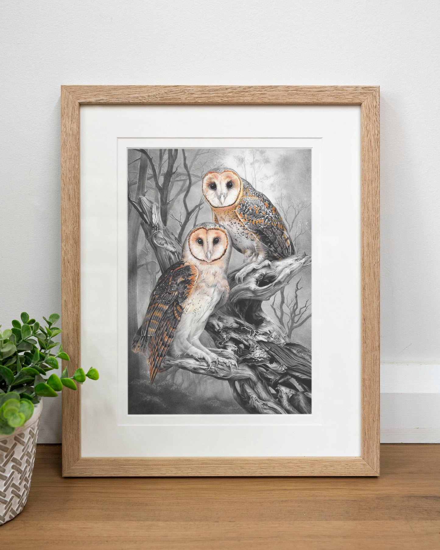 'Tasmanian Masked Owls' art print