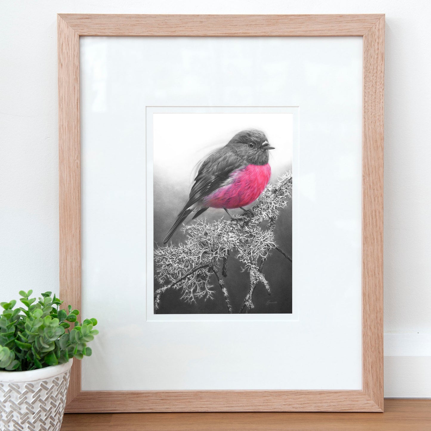 'Pink Robin' art print