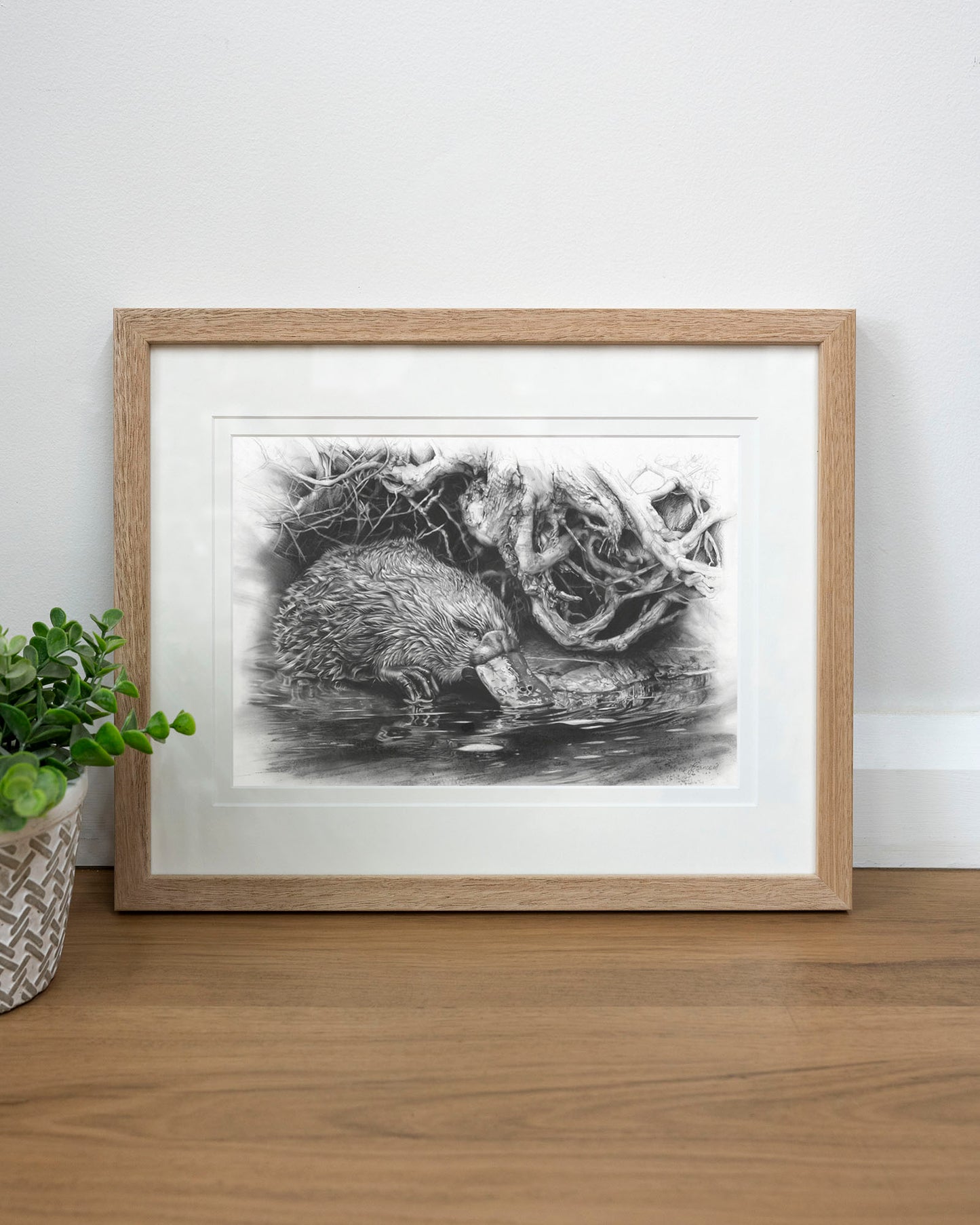 'Platypus' art print