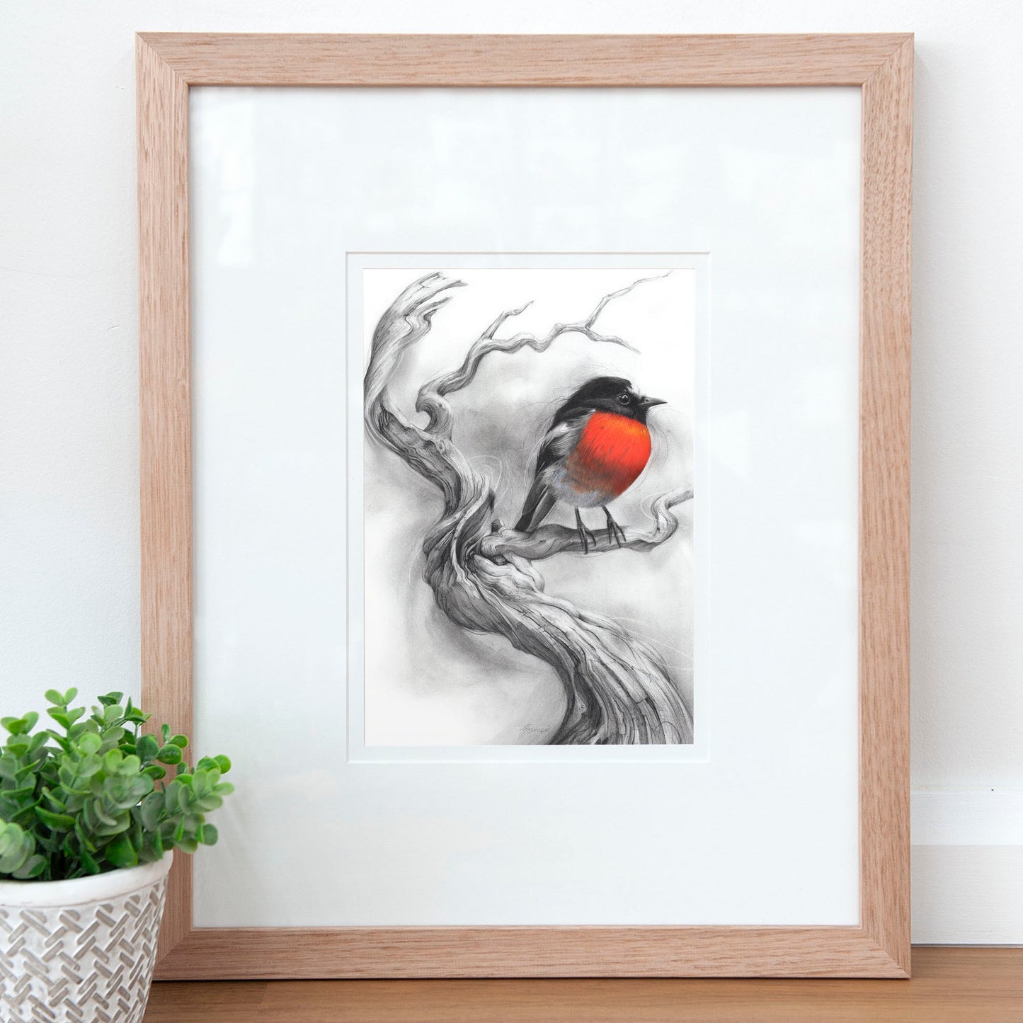 'Scarlet Robin' art print