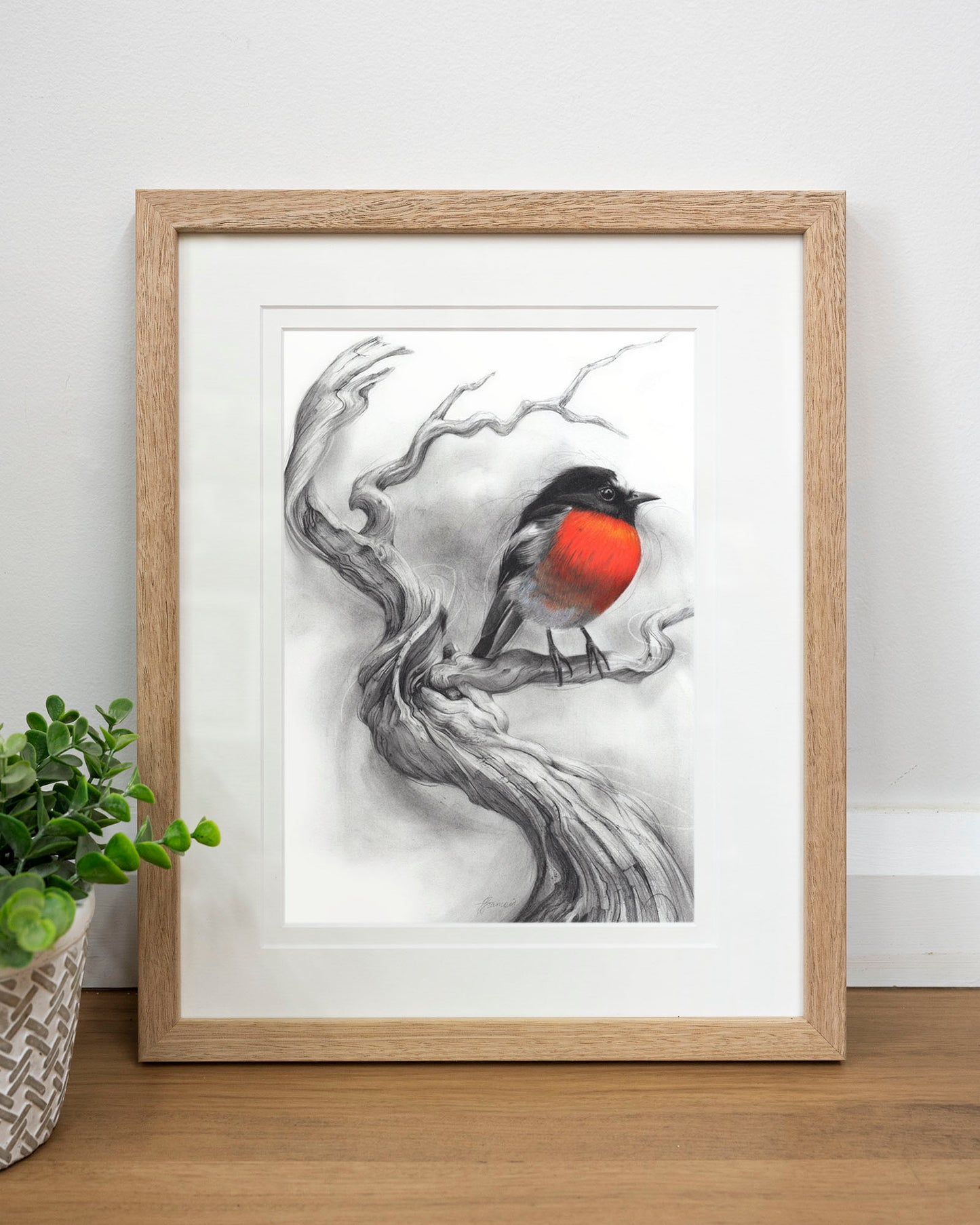 'Scarlet Robin' art print