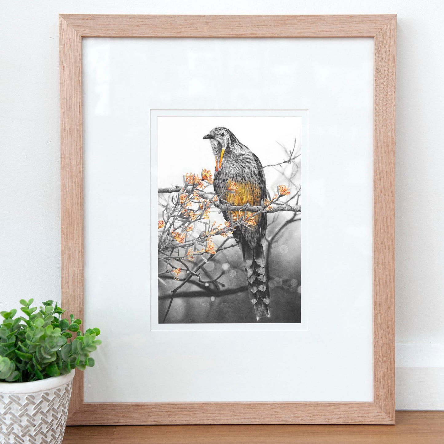 'Yellow Wattlebird' art print