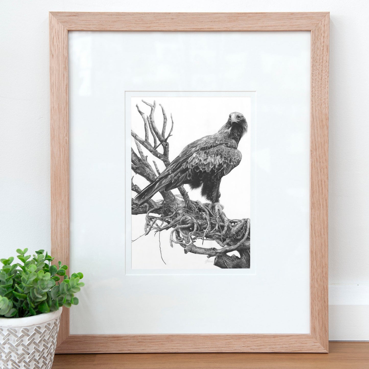 'Wedge-tailed Eagle' art print