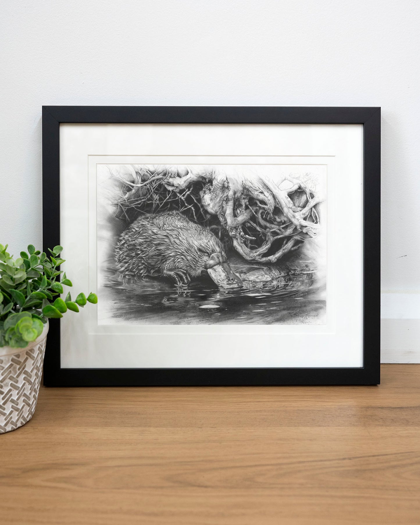 'Platypus' art print