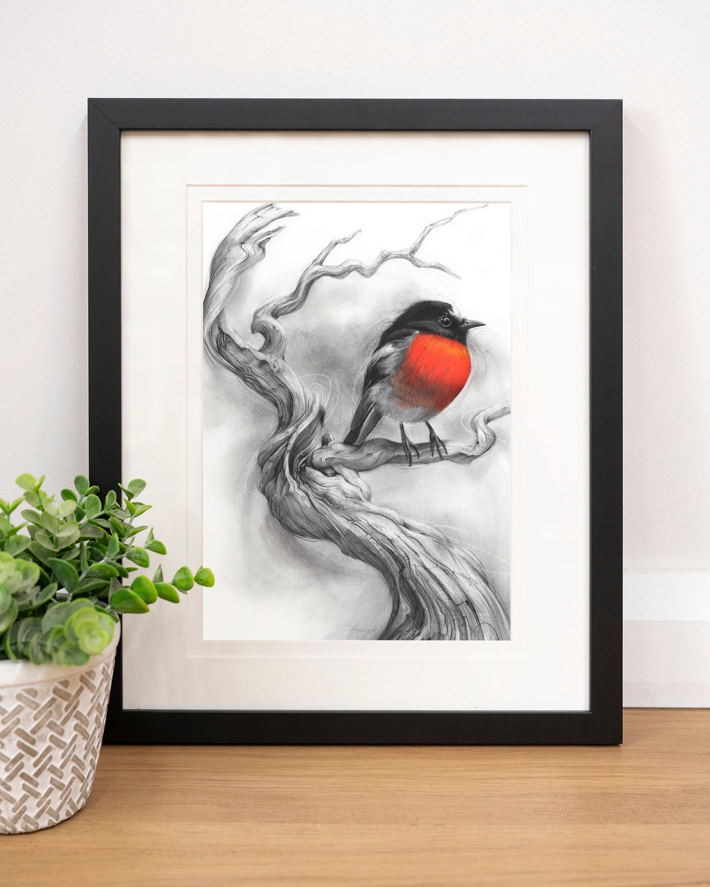'Scarlet Robin' art print