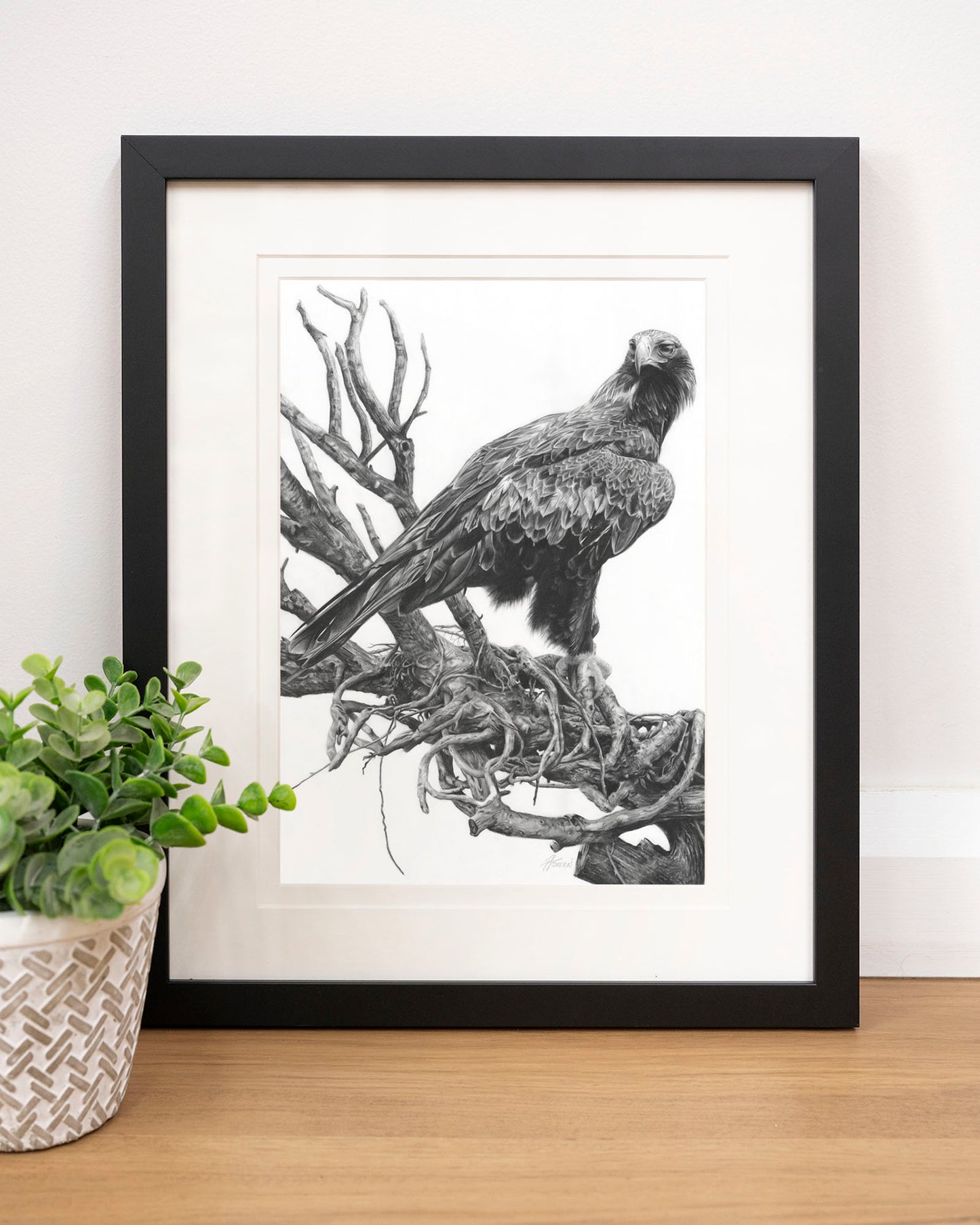 'Wedge-tailed Eagle' art print
