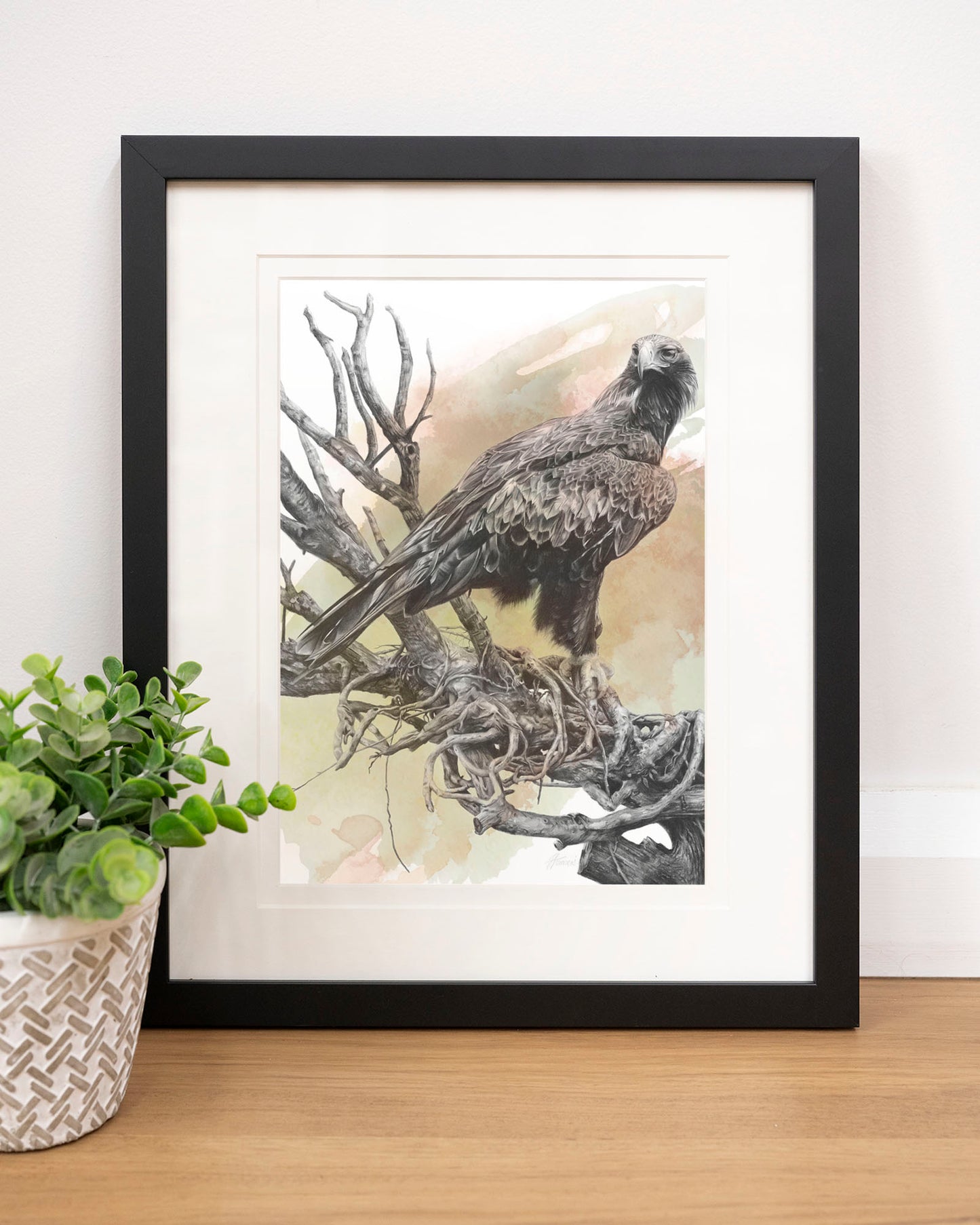 'Wedge-tailed Eagle Colour' art print