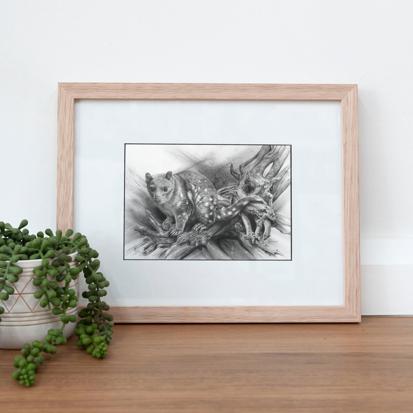 'Spotted Quoll' A5 art card