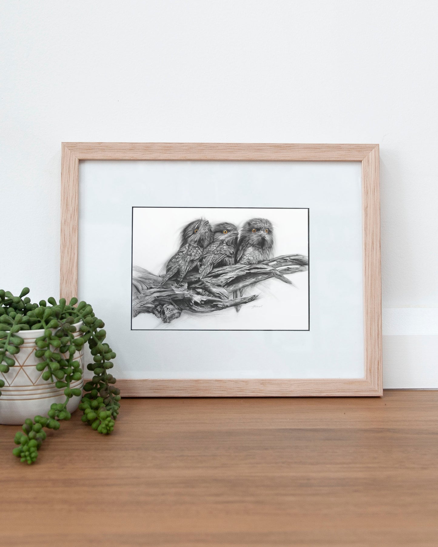 'Tawny Frogmouth Trio' A5 art card