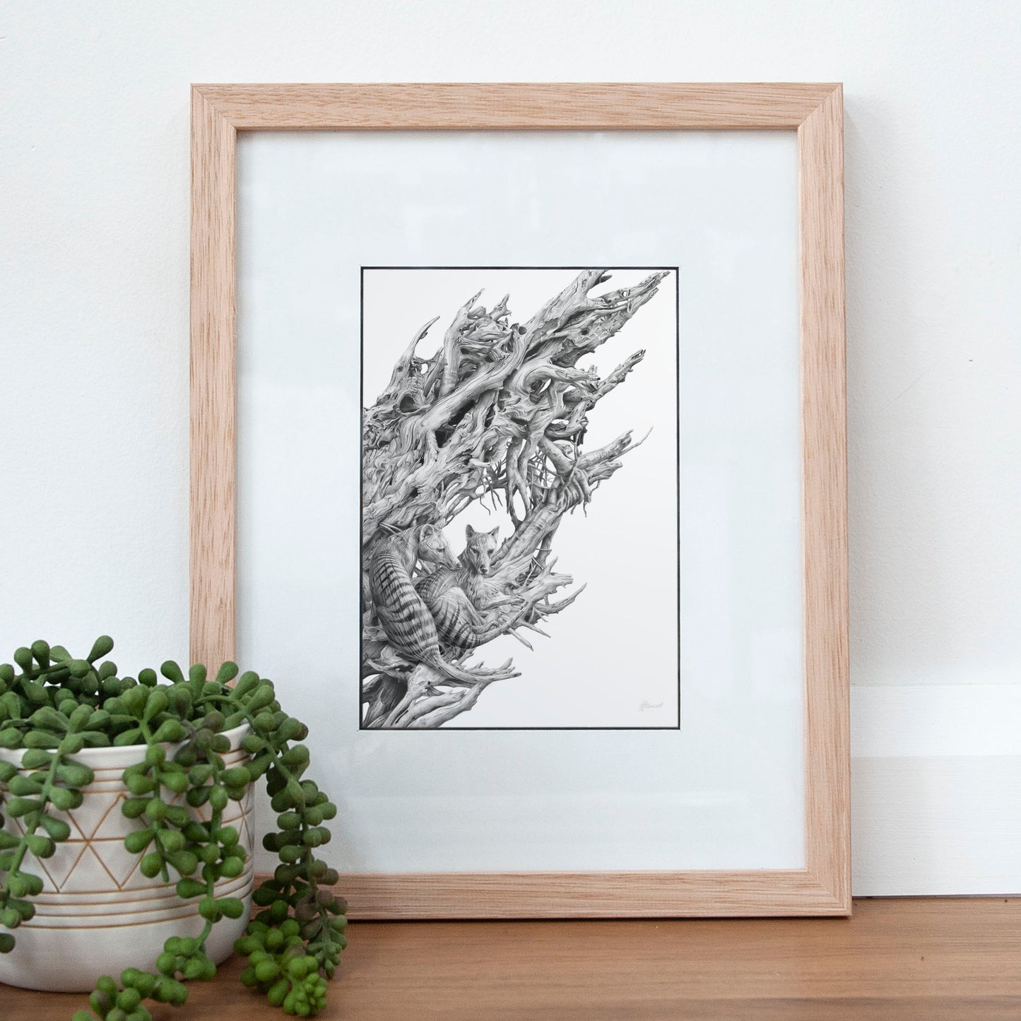 'Driftwood Thylacine' A5 art card
