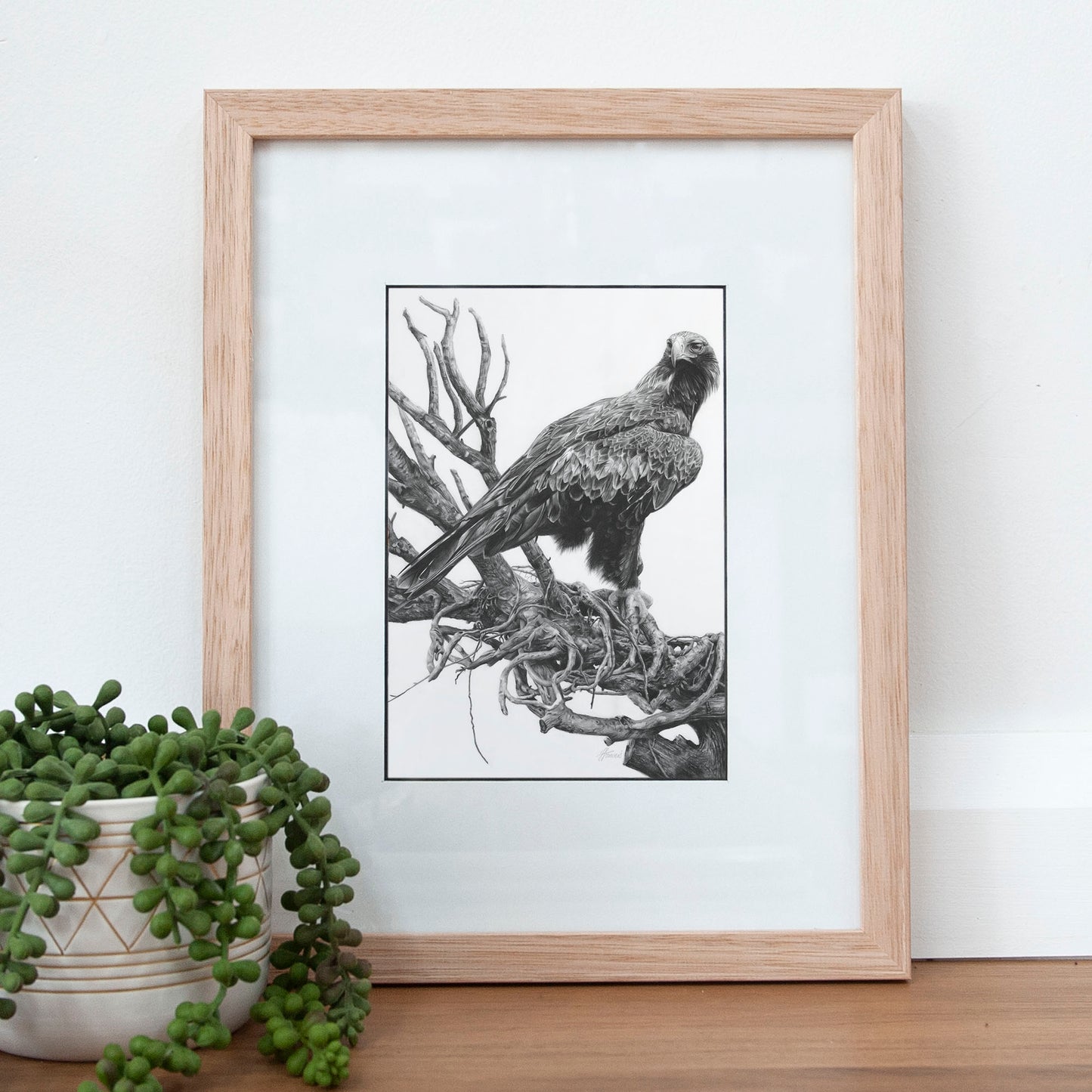 'Wedge-tailed Eagle' A5 art card