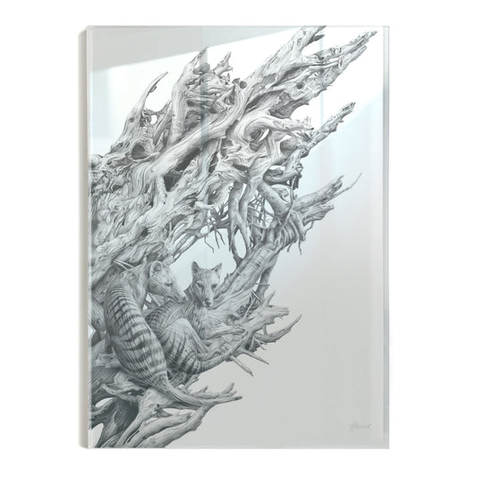 'Driftwood Thylacine' acrylic print