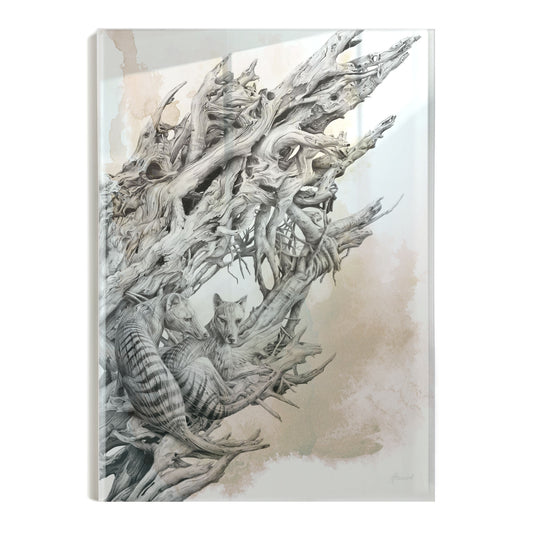 'Driftwood Thylacine - colour splash' acrylic print