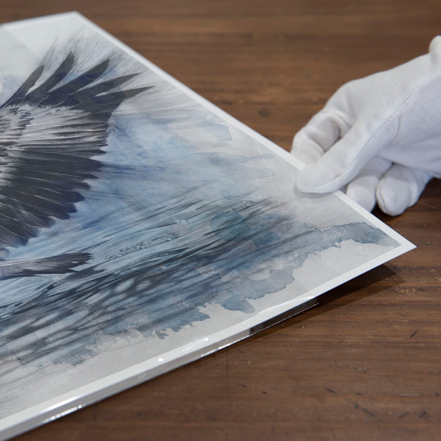 'White-bellied Sea Eagle Blue' art print