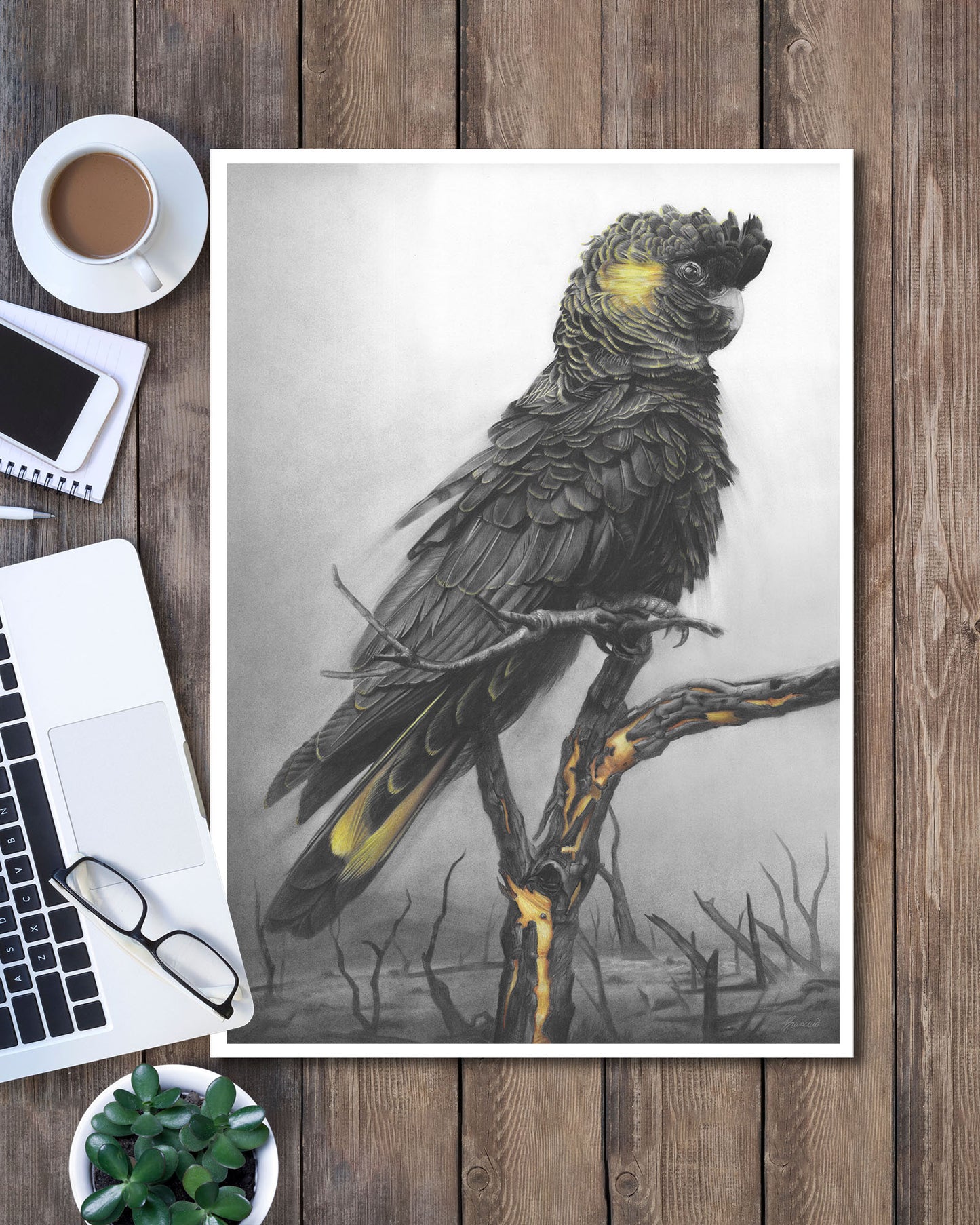 'Black Cockatoo' art print