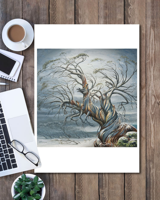 'Dead Horse Gap' art print