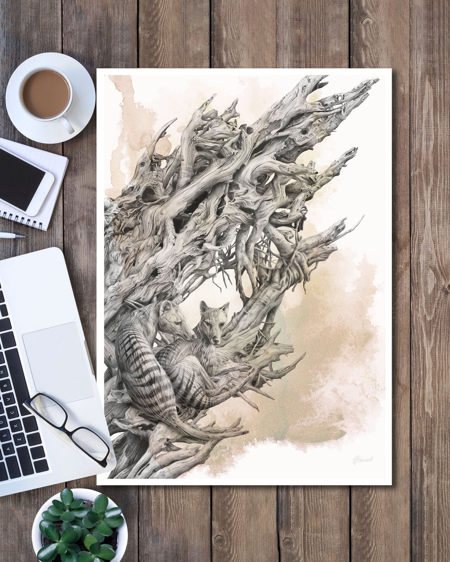 'Driftwood Thylacine' art print (with colour)