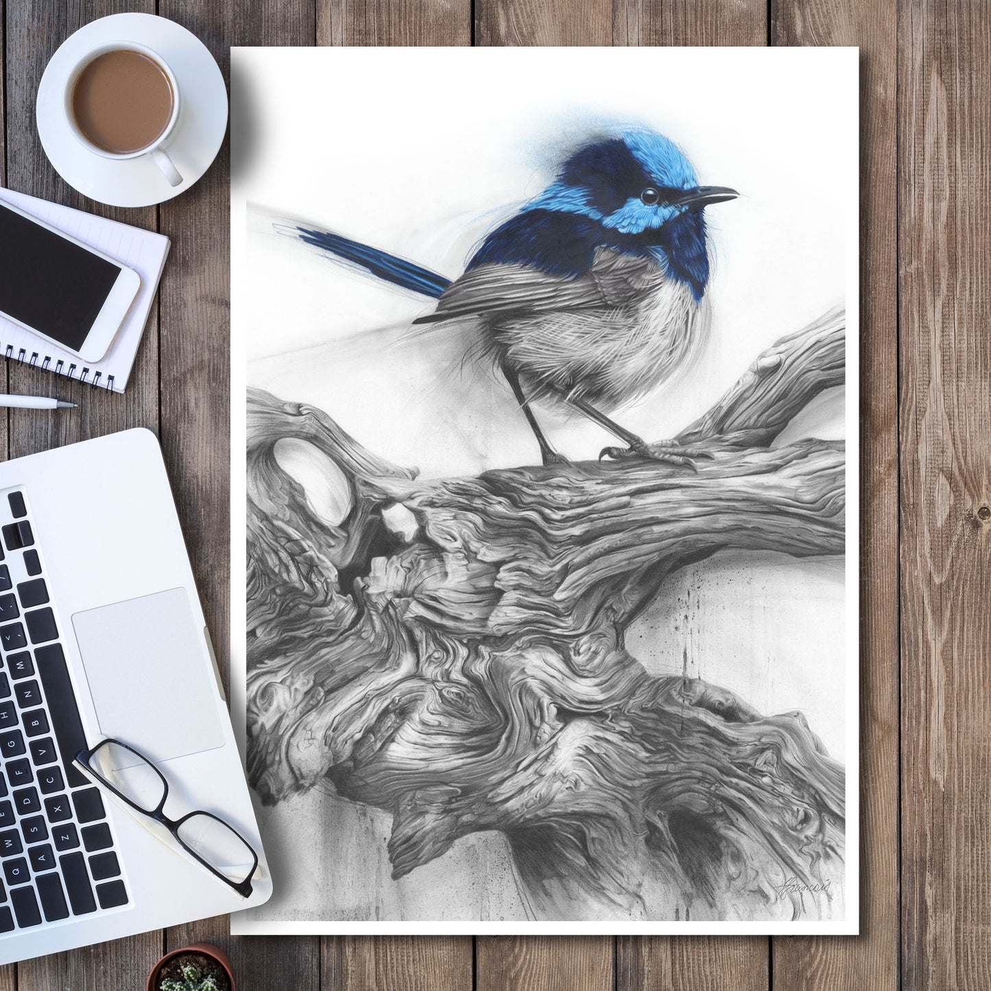 'Fairy Wren' art print